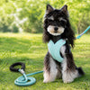 X-Style Dog Harness and Leash Set