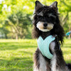 X-Style Dog Harness and Leash Set