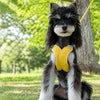 X-Style Dog Harness and Leash Set