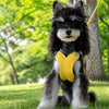 X-Style Dog Harness and Leash Set