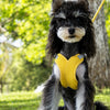 X-Style Dog Harness and Leash Set