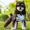 X-Style Dog Harness and Leash Set