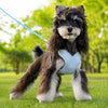 X-Style Dog Harness and Leash Set