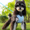 X-Style Dog Harness and Leash Set