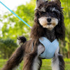 X-Style Dog Harness and Leash Set