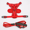 Reflective Cat Harness and Leash Set with Nylon Rope