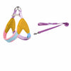 Y-Front Vest Dog Harness with Leash