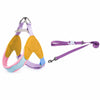 Y-Front Vest Dog Harness with Leash