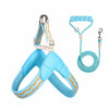 Nylon Round Rope Dog Leash for Small to Medium Dogs