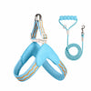 Nylon Round Rope Dog Leash for Small to Medium Dogs