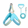 Nylon Round Rope Dog Leash for Small to Medium Dogs