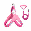 Nylon Round Rope Dog Leash for Small to Medium Dogs