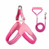 Nylon Round Rope Dog Leash for Small to Medium Dogs