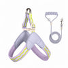 Nylon Round Rope Dog Leash for Small to Medium Dogs