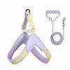 Nylon Round Rope Dog Leash for Small to Medium Dogs