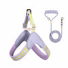 Nylon Round Rope Dog Leash for Small to Medium Dogs