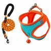 Nylon Dog Harness and Leash for Small Dogs
