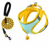Nylon Dog Harness and Leash for Small Dogs