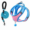 Nylon Dog Harness and Leash for Small Dogs