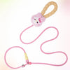 Nylon Rope Dog Leash for Walking and Training