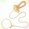 Nylon Rope Dog Leash for Walking and Training