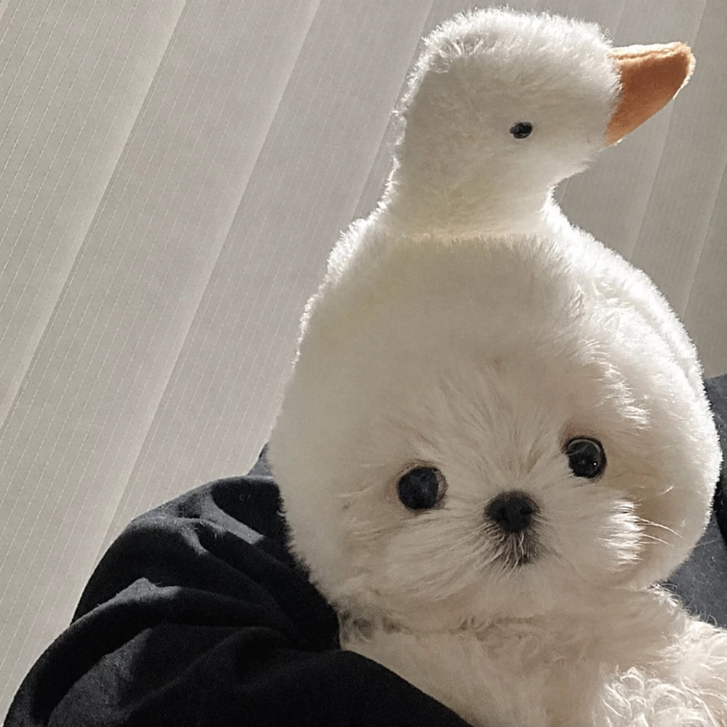 Character Pet Costume Hats for Cats and Dogs