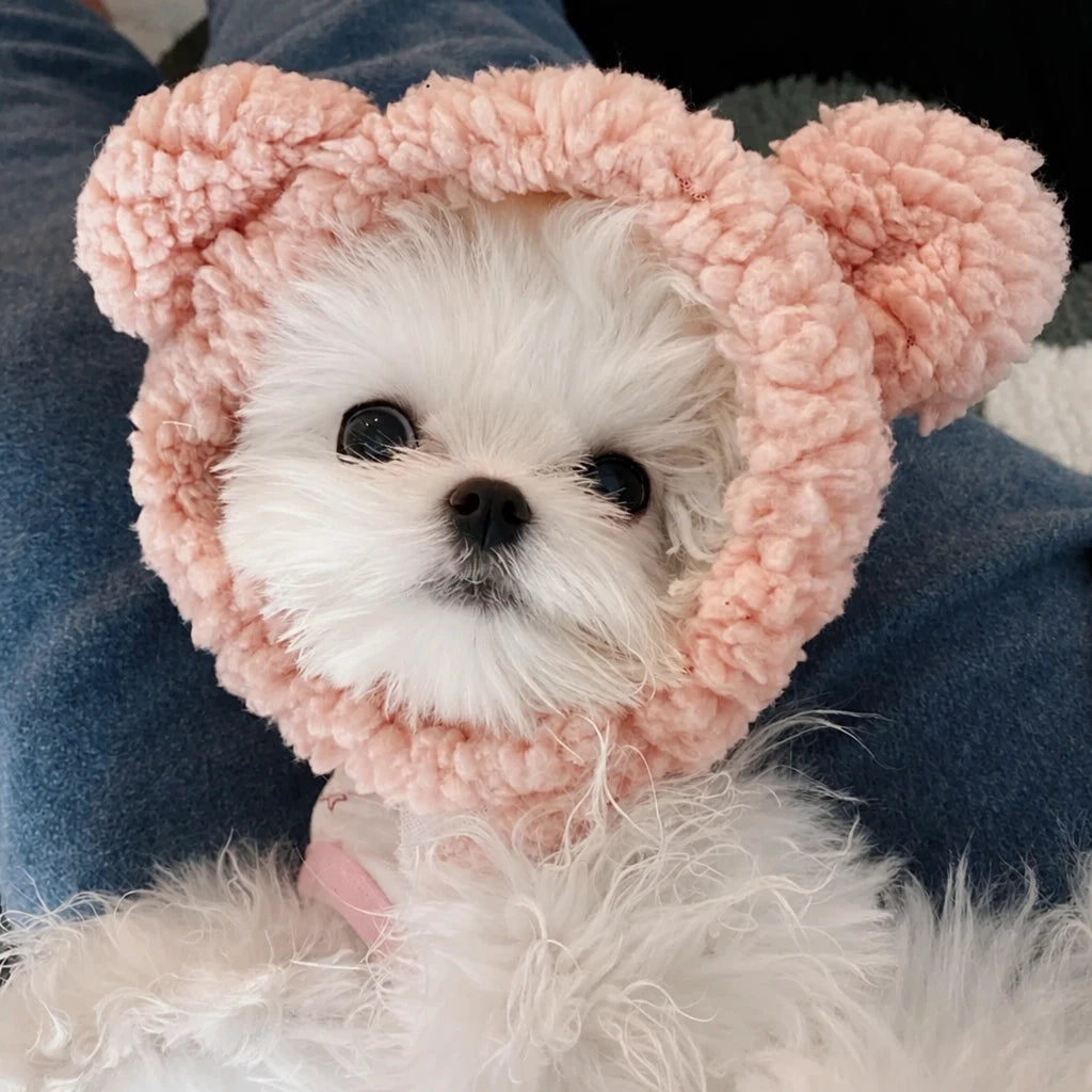 Character Pet Costume Hats for Cats and Dogs