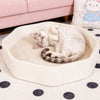 Petal-Shaped Corrugated Paper Cat Scratcher