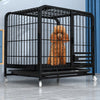 Indoor Iron Dog Crate with Tray and Locking Casters