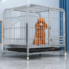 Indoor Iron Dog Crate with Tray and Locking Casters