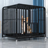 Indoor Iron Dog Crate with Tray and Locking Casters