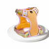 Polyester H-Style Dog Harness
