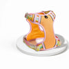 Polyester H-Style Dog Harness