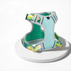 Polyester H-Style Dog Harness