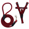 Adjustable Nylon Dog Harness and Leash Set for Everyday Walks
