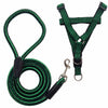 Adjustable Nylon Dog Harness and Leash Set for Everyday Walks