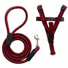 Adjustable Nylon Dog Harness and Leash Set for Everyday Walks