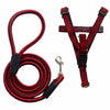 Adjustable Nylon Dog Harness and Leash Set for Everyday Walks