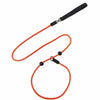 Nylon Rope Training Leash for Small to Medium Dogs