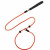 Nylon Rope Training Leash for Small to Medium Dogs