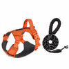 Lightweight Adjustable Nylon Dog Harness with Leash