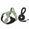 Lightweight Adjustable Nylon Dog Harness with Leash