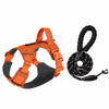 Lightweight Adjustable Nylon Dog Harness with Leash
