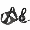 Lightweight Adjustable Nylon Dog Harness with Leash