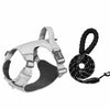 Lightweight Adjustable Nylon Dog Harness with Leash