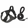 Lightweight Adjustable Nylon Dog Harness with Leash
