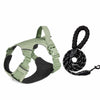 Lightweight Adjustable Nylon Dog Harness with Leash