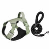 Lightweight Adjustable Nylon Dog Harness with Leash