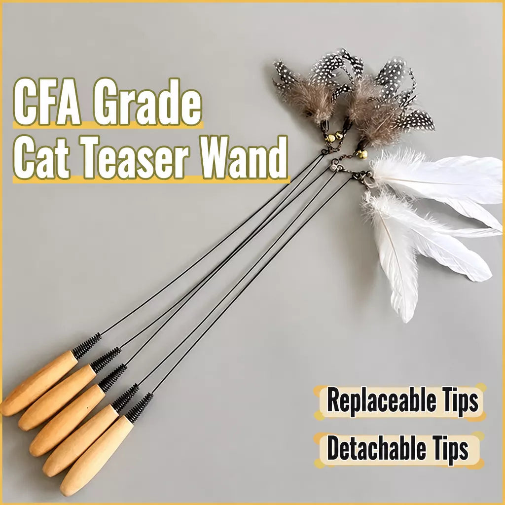 Detachable Feather Wand Cat Toy with Wooden Handle