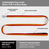 59.1-Inch Polyester Dog Leash with Aluminum or Zinc Alloy Clip